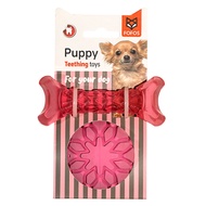 Fofos Puppy Teething Ball & Bone