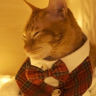 /聖誕限定/ 寵物訂製皇室西裝領/紅綠格子 Royal suit collar