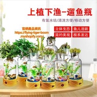 魚缸 fish tank aquarium #pdc 992002