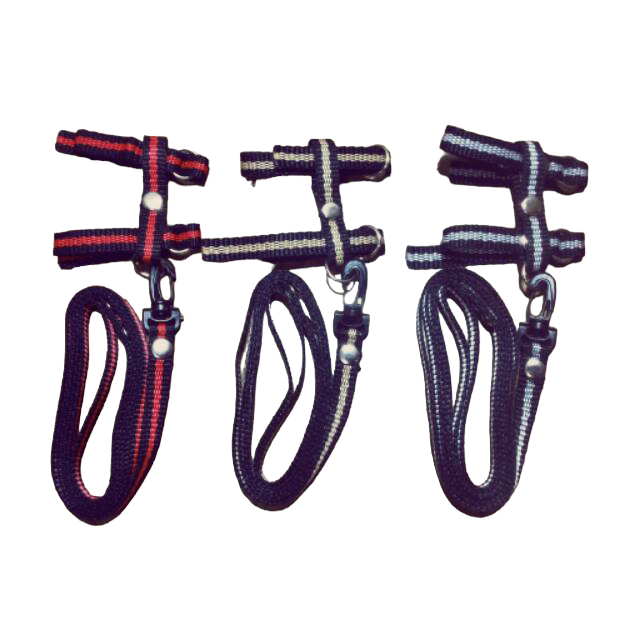 Tali badan harness hernes mini bajing tupai sgar glider