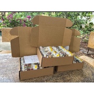 Nutrition Tea 7 Flavors (Clay With Box)