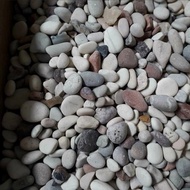 bahan batu koral kecil buat batu sikat tidak licin