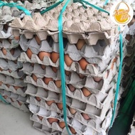 Telur Ayam Ras 1 Ikat / Peti - 15 Kg - #Flashsale #Gratisongkir