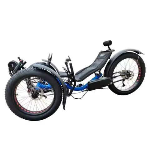 Beach Cruiser 500watt Motor Electric Fat Tad Tadpole Recumbent Tricycle Trike