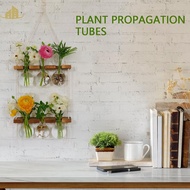 Plant Propagation Station Kit 6 Bulb Vase Double Layer Plant Terrarium Wall Hanging Novel Flower Bulb Vase SHOPSBC1476