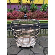 Derkuku Bird Cage Rattan Belt Black Bamboo Bars Large Pawn Ambrukan