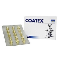 Coatex 60 caps อาหารเสริม บำรุงขนและผิว แบบเม็ด สำหรับสุนัข