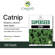 Catnip Herb Seeds, 550 Seeds