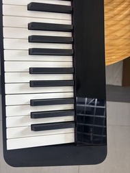 Pxs1100  Casio digital piano with x stand pedal and bag