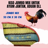 KISO AYAM JUMBO UKURAN JUMBO UNTUK AYAM JANTAN BANGKOK PELUNG BIRMA