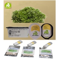 ♞Seeds Rijk Zwaan Invicta RZ (Repack)