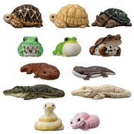 Spot Goods Bandai Shokugan Box Egg Handheld Friend Pocket Companion12Amphibian Reptile Model
