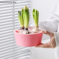 GOG Hyacinth Tulip Seed Hydroponic Flowerpot 3/5Holes Pots For Plants Soilless Plant Pot Lazy Hydrop