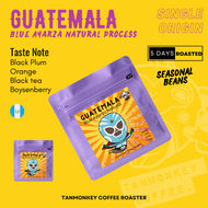 ลอตใหม่! Tanmonkey เมล็ดกาแฟคั่ว Guatemala Blue Ayarza Natural Process 100g