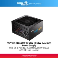 FSP VIC GD 650W | 750W | 850W Gold ATX 3.1 Power Supply
