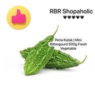 Peria Katak | Mini Bittergourd 500g Fresh Vegetable