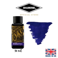 Diamine Fountain Pen 30ml Bottle Ink Bilberry