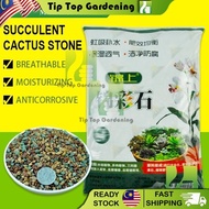 12 LITRE SUCCULENT CACTUS SOIL STONE 锦彩石 BATU TANAH KAKTUS GARDENIG TOOLS