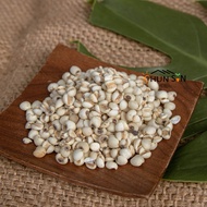 [Chunxin] Laos Coix Seed 600g Job's Tear