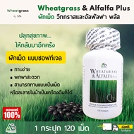 (1 กระปุก) Wheatgrass & Alfalfa Plus ผลิตภัณฑ์อาหารเสริมแอมสตรอง วีทกราส อัลฟัลฟ่า พลัส ผักเม็ดแท้ ส