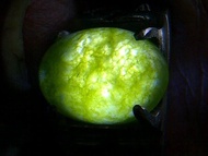 Natural Jabarjud (Ruby Mekah)
