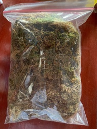 200 grams Sphagnum Moss by Curated Plants