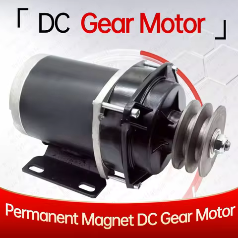 DC Gear Motor 800W DC Permanent Magnet Motor 12V 24V 48V-60V Electric Motor With Reducer For Permane