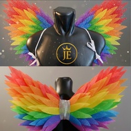 Angel wings/butterfly wings