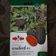 BENIH / SEEDS TEMBIKAI TIMUN CINA WATERMELON PANAH MERAH THAILAND