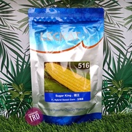 Paket 200g SUGAR KING 516 Leckat Biji Benih Jagung Manis F1 Hybrid Sweet Corn Seeds Ready Stock.