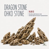 Aquascaping Ohko Dragon Stone Rock ALVEOLATE ROCK (水草造景松皮石虎皮石)