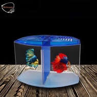 MXBEAUTY Double-grid Betta Isolation Box, Single/Double Grid Plastic Betta Fish Tank, Betta Isolatio