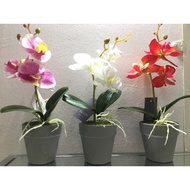 KAISON ARTIFICIAL ORCHID - 26.5cm