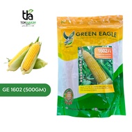 Benih Jagung Manis Asia Best F1 1602 GREEN EAGLE (500gm)