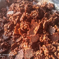 AMPYANG KACANG 1KG PREMIUM RAJAWALI RASA JAHE/ gula kacang/ enting²/ kacang noga By.PUTRI RAJAWALI m
