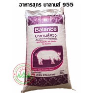 บาลานส์ 955 อาหารสุกร สำหรับสุกรน้ำหนัก 105 กิโลกรัม ถึงส่งตลาด บรรจุกระสอบ 30 กิโลกรัม