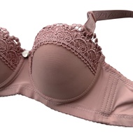 Piaoli 8813 8814 Bra Size 36 - 42 Cup B Push Up Bra/ Foam Bra/ Underwire Bra/ Plus Size Bra