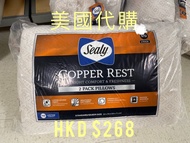Sealy Pillow