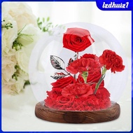 [Lzdhuiz1] Glass Cloche Globe Dustproof Glass Cover Decorative Terrarium Home