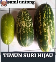BENIH TIMUN SURI HIJAU ZEBRA cepat tumbuh buah hijau jumbo