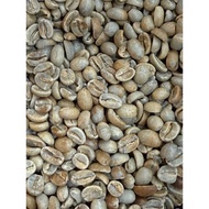 Green Coffee Beans/Costa Rica/Geisha/Genesis