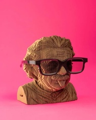 Cartonic - ALBERT EINSTEIN 愛因斯坦 3D立體拼圖