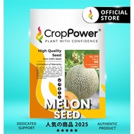 (100 SEEDS) Biji Benih Rock Melon Glory 荣耀 ML219 CROP POWER F1 HYBRID  Rock Melon Seed  蜜瓜种子 ML 219
