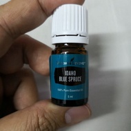 Young living Idaho Blue Spruce