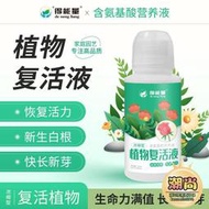 植物復活液通用型營養液濃縮型家用梔子花蘭花型肥料代發bao郵