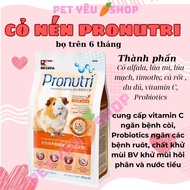 PRONUTRI compressed grass food for bugs over 6 months of pregnant bugs and baby care