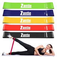Resistance Band Loops, Workout Bands for Men & Women, Exercise Bands for Physical Therapy, Rubber Re