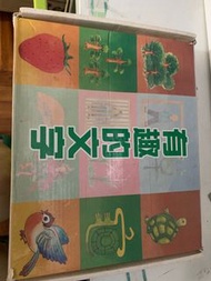 中文認字卡