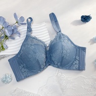 [Dacheng Underwear] B.C Cup Little Hana.lace Soft Steel Ring Underwear A4H-5315 Elastic Heightened B
