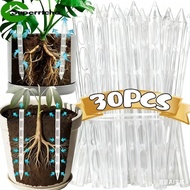 Aeration Tube Plant Root Oxygenator 10/30pcs, Transparent Reusable Soil Ventilation Tool Prevents Ro